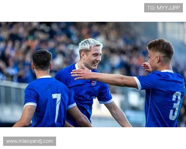 霍格进球四次遭判无效后助攻建功 博德格林2-0战胜桑德菲杰